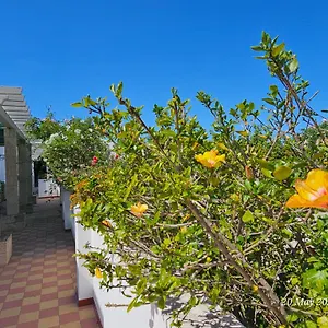  Séjour chez l'habitant Blife Salinya Private At N125